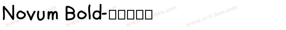 Novum Bold字体转换